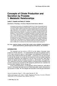 Concepts of citrate production and secretion by prostate 1. Metabolic
