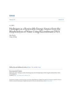 Hydrogen as a Renewable Energy Source from the Biophotolysis of