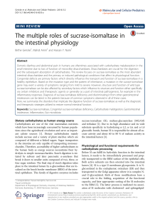 The multiple roles of sucrase-isomaltase in the
