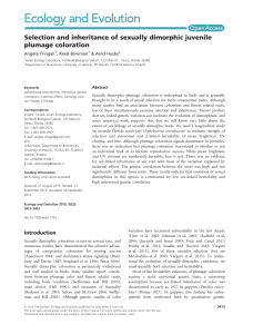 Selection and inheritance of sexually dimorphic juvenile plumage