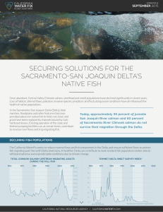 SECURING SOLUTIONS FOR THE SACRAMENTO