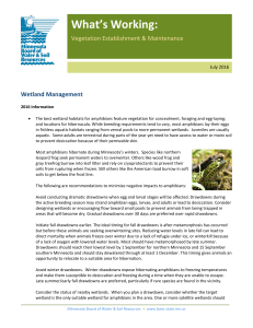 Wetland Management - Minnesota Board of Water and Soil Resources
