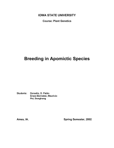Breeding in Apomictic Species - public.iastate.edu