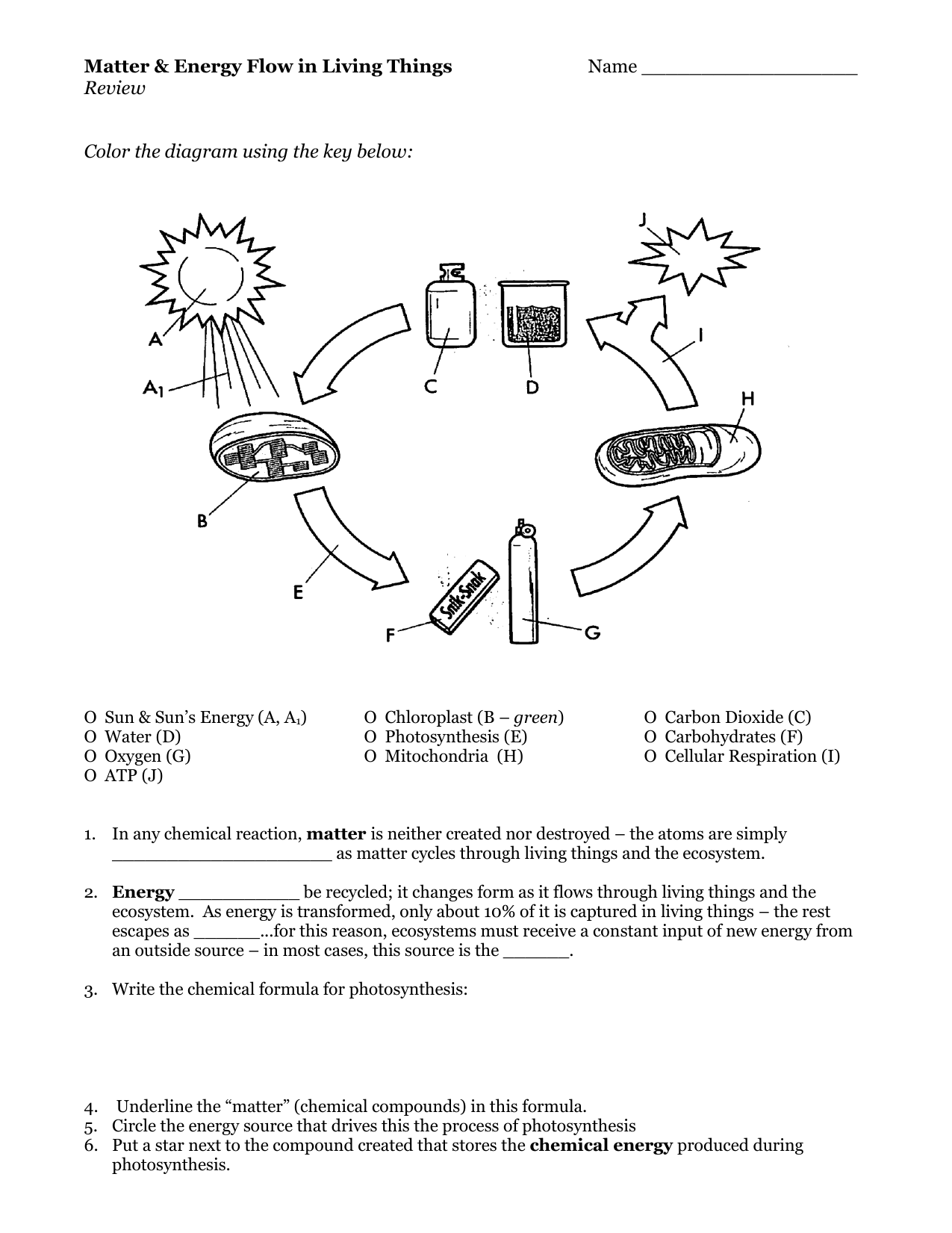 Cellular Respiration Chart Answers