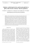 Sulphur-oxidising bacteria and haemoglobin in gills