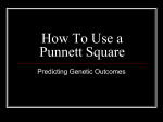 How To Use a Punnett Square