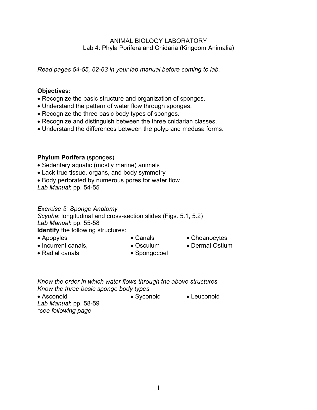 Animal Phyla Lab Chart