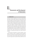 Homeostasis and Development of Homeostats