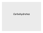 Carbohydrates - Seattle Central College