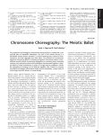 Chromosome Choreography: The Meiotic Ballet