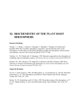 XI. BIOCHEMISTRY OF THE PLANT ROOT RHIZOSPHERE
