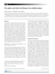 The spleen and sickle cell disease: the sick(led) spleen - Labex GR-Ex