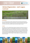 Wetland Regeneration – Jack`s Lagoon Lowmead