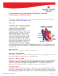 l-Transposition of the Great Arteries