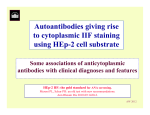 Cytoplasmic Hep-2 patterns