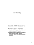 Viral Assembly Assembly of TMV (Helical Virus)
