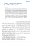 Human Locomotion and Heat Loss: An Evolutionary Perspective