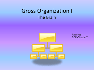 Gross Organization I