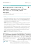 Macrophage traits in cancer cells are induced by macrophage