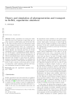 Theory and simulation of photogeneration and transport in Si