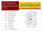 The Plant Cell