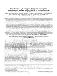 Nanoparticles-Lanza