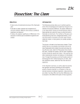 Dissection: The Clam - f