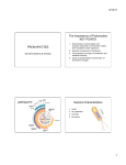 PROKARYOTES The Importance of Prokaryotes KEY POINTS