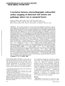 Correlation between echocardiographic endocardial