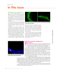 PDF - The Journal of Cell Biology