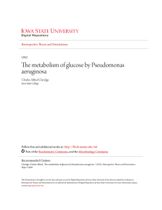 The metabolism of glucose by Pseudomonas aeruginosa