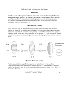 Polarized Light and Quantum Mechanics