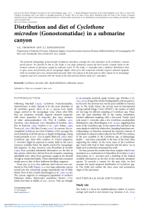 Distribution and diet of Cyclothone microdon (Gonostomatidae) in a