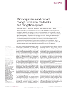 Microorganisms and climate change: terrestrial feedbacks and