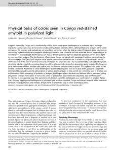 Physical basis of colors seen in Congo red-stained amyloid