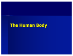 HUman body