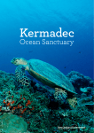 1. Kermadec Ocean Sanctuary information booklet