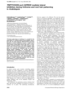 TRIPTYCHON and CAPRICE mediate lateral inhibition during