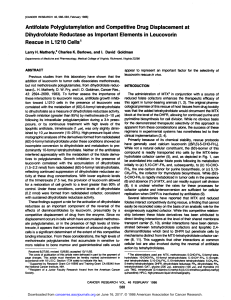 Antifolate Polyglutamylation and Competitive Drug Displacement at