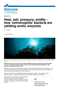 Heat, salt, pressure, acidity - how `extremophile` bacteria are yielding