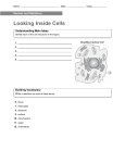 Cell Review Packet