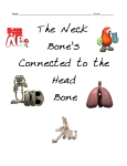 The Neck Bone`s Connected to the Head Bone