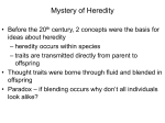 Mystery of Heredity