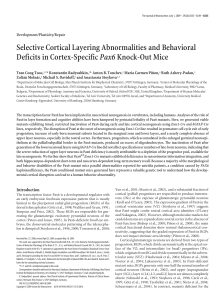 Selective Cortical Layering Abnormalities and Behavioral Deficits in