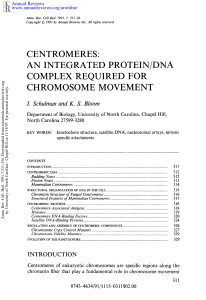 Centromeres: An Integrated Protein/DNA Complex