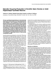 Naturally Occurring Fluctuation in Dendritic