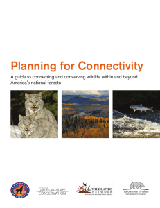 Planning for Connectivity