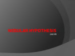 NEBULAR HYPOTHESIS