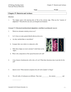 Chapter 27: Bacteria and Archaea