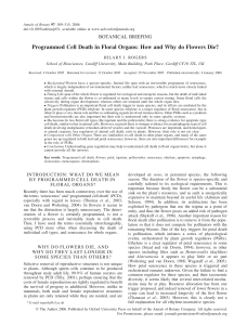 Programmed Cell Death in Floral Organs: How and Why do Flowers